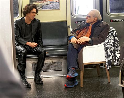 timothee chalamet martin scorsese